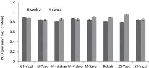 Figure 4. Interaction effects of drought stress and pomegranate cultivars on POD activity