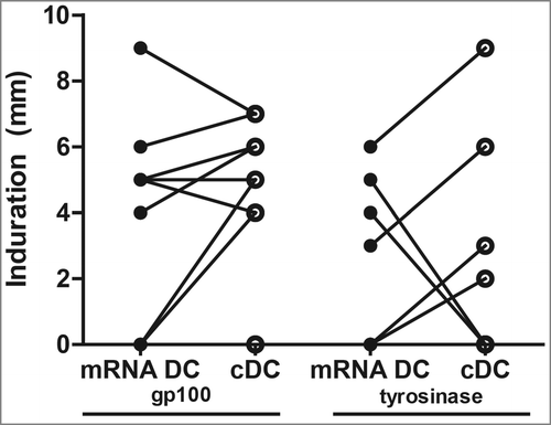 Figure 3. Induration at the delayed type hypersensitivity (DTH) skin tests after cycle 1. DTH skin tests were performed after each series of vaccinations. Cytokine-matured dendritic cells (cDC) or mRNA-optimized DC (mRNA DC) electroporated with gp100-encoding mRNA or tyrosinase-encoding were injected intradermally in the skin of the back of the patients at four different sites. The maximum diameter of induration was measured after 48 h. Induration after the first vaccination cycle is shown. Dots representing the same patient are connected with a line.