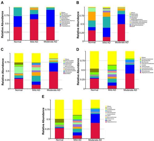 Figure 1 The most abundant phylum (A) classes (B) order (C) family (D) and genus (E) on the skin of AD patients.