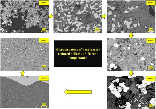 Figure 12. Overall microstructural changes of the heat-treated reduced bauxite residue calcite pellets (backscattered electron micrograph).