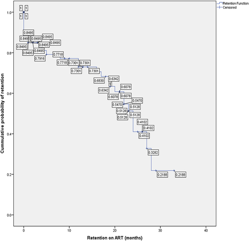 Figure 2 Retention in HIV care at varied time points in months. Shows the cumulative probability of retention in HIV care for two years.