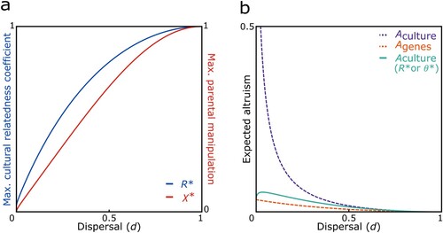 Figure 3. Potential ancestor-descendant conflict resolution. a) The introduction of norms leading to an intermediate degree of altruism between co-descendants via an ecologically variable cultural relatedness coefficient R* or success rate of parental manipulation χ*, respectively, allows for the evolution of ancestor worship in a range of conditions; and b) can lead to a reduction of the discrepancy between the culturally promoted amount of altruism Aculture and the amount of altruism expected from genetic relatedness Agenes, indicating a resolution to the proposed ancestor-descendant conflict. In both panels we assume n = 20.