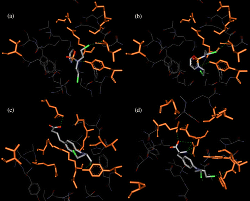 Figure 5 . Binding within hGST P1-1 of the considered drugs: cyclophosphamide (a), ifosfamide (b), chlorambucil (c) and melphalan (d). Ligand (CPK) and interacting key residues (orange) are represented as stick models, hydrogen bonds are shown as green dotted lines.