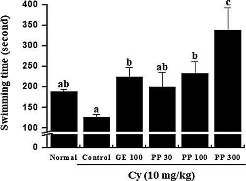 Figure 4. The effect of PPCE on the swimming time. The test was carried out an hour after the treatment with PPCE on day 28, the final day of treatment. The animal experiment was performed in six groups [the normal group, Normal (saline) and Control (saline), GE (100 mg/kg, positive control), PPCE (30, 100, or 300 mg/kg) + Cy (10 mg/kg) ]. When the animal stopped moving, they were placed in the device and were assessed for up to 10 s. Bars labeled with different superscripts indicate significant differences values (P < 0.05 versus control). Data are presented as means ± standard errors (n = 7).