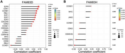 Figure 7 Co-expression analysis of FAM83D/H and cell cycle pathway-related genes.