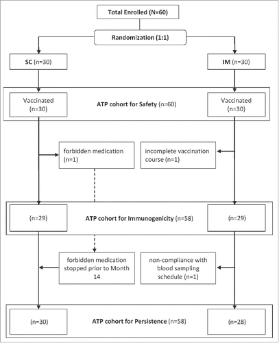 Figure 1. Disposition of study participants. SC: Subcutaneous IM: Intramuscular.