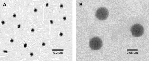 Figure 3 TEM images of the nanoemulsion in the different scale of 0.2 μm (A) and 0.05 μm (B).