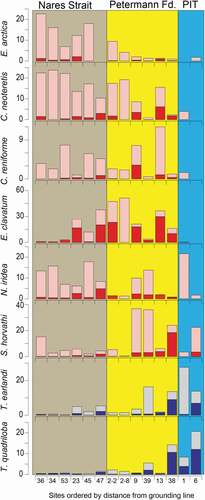 Figure 7. Histograms showing percentages of species along a transect organized by increasing distance from the Petermann Glacier grounding line. Sites are shown in Figure 1b. Color blocks as defined in Figure 5. Red histograms are calcareous species, with the dark color representing the rose bengal stained (living) component. Blue histograms represent agglutinated species, with the dark color representing the rose bengal stained (living) component