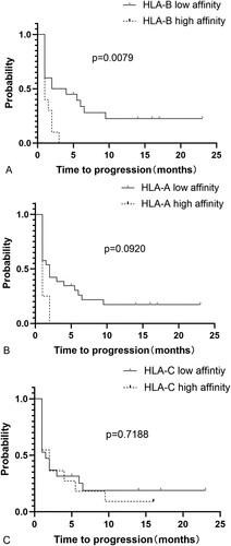 Figure 1. Kaplan–Meier curve of patients with specific KIR-HLA genotype groups. (A) PFS of patients with KIR3DL1 and HLA-B (high affinity) and patients with KIR3DL1 and HLA-B (low affinity). (B) PFS of patients with KIR3DL1 and HLA-A (high affinity) and patients with KIR3DL1 and HLA-A (low affinity). (C) PFS of patients with KIR2DL1 and HLA-C2 (high affinity) and patients with KIR2DL2/3 and HLA-C1 (low affinity).
