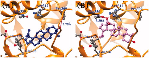 Figure 2. Comparison of molecular binding pose of compounds 1 (A) and 2 (B) in yeast α-glucosidase.