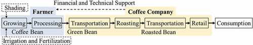 Figure 1. Coffee bean supply chain.