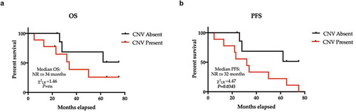 Figure 3. Kaplan-Meier estimator of OS and PFS across the entire cohort recoded into subgroups identified by the presence or absence of CNVs. (a) The median OS estimated in subjects without CNVs was not reached, whereas in subjects with CNVs, the median OS was 34 months. P ns (not significant). The median PFS estimated in subjects without CNV was not reached, whereas in subjects with CNVs, the median OS was 32 months (HR = 3.45, 95% CI 1.09–10.9, χ2LR = 4.47; P = .00345). Hazard Ratio – HR; CNVs – Copy Number Variants