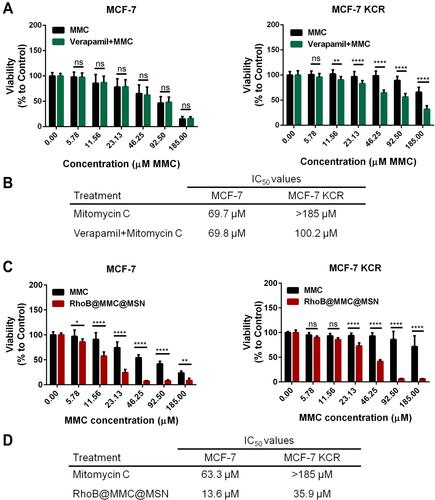 Figure 6 The efficiency of MSN-based delivery of the anticancer agent Mitomycin C as a cargo (A). Viability of MCF-7 and MCF-7 KCR cells after Mitomycin C or Mitomycin C + Verapamil treatments. Two-way ANOVA Sidak’s multiple comparisons test, **P<0.005; ****P<0.0001 (B). IC50 values calculated from the viability results of Mitomycin C-, or Mitomycin C + Verapamil-treated MCF-7 and MCF-7 KCR cells (C). Viability of MCF-7 and MCF-7 KCR cells upon MMC or RhoB@MMC@MSN treatments. Two-way ANOVA Sidak’s multiple comparisons test, *P<0.05; **P<0.005; ****P<0.0001 (D). IC50 values determined from the viability results of MCF-7 and MCF-7 KCR cells after MMC or RhoB@MMC@MSN treatment.