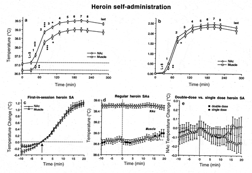 Figure 27. Changes (mean±SEM) in brain (NAc, nucleus accumbens) and muscle temperatures during heroin self-administration in trained rats. A and B = changes in absolute and relative temperatures averaged for each consecutive drug self-injection of a session. L + S = the moment of light+sound presentation, when the lever became accessible and the rat could press a lever. Asterisks show values significantly different from the previous value. C = temperature changes associated with the first-in-session heroin SA (arrow). D = temperature changes associated with regular heroin self-injections (filled symbols indicate values significantly different from the last pre-lever-press value (hatched line). E = differences in temperature changes after a typical single-dose (0.1 mg/kg) and double-dose (0.2 mg/kg) heroin self-administrations. Data were replotted from [Citation229].