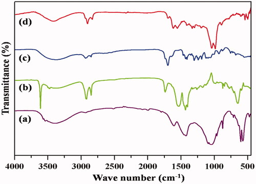 Figure 1. IR spectra of (a) HAP, (b) PXSA, (c) HAP/PXSA and (d) HAP/PXSA/VK.