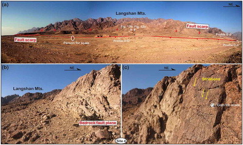 Figure 13. Tectonic landforms at Site 4 near the center of the LPF (see Figures 1(c) and 2 for the location). (a) Panoramic photograph showing the distribution of two sets of fault scarps. (b) Bedrock fault plane. (c) Observed striations demonstrating a dominant normal slip.