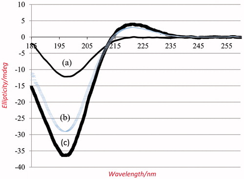 Figure 3. CD spectra of (a) electrospun collagen nanofibers, (b) self-assembled collagen fibers, and (c) native collagen. They all obtained by solubilizing 0.1 mg/mL material in 0.05 M HAc.