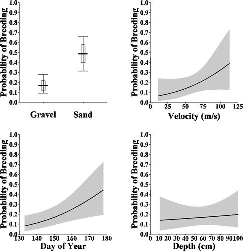 Figure 4. Bayesian conditional effects of dominant substrate, water velocity (m/sec), day of year, and water depth (cm) on the probability Bigeye Chub (Hybopsis amblops) breeding, with the gray bands representing the 95% Credible Intervals.