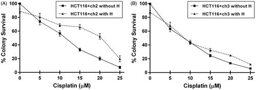 Figure 1. Clonogenic survival curves for MMR-deficient (HCT116 + ch2) and MMR-proficient (HCT116 + ch3) colon cancer cells exposed to cisplatin (cPt) and hyperthermia + cisplatin (H+cPt). (A) MMR- cells and (B) MMR+ cells treated with cPt for 1 h (closed squares) or treated with cPt 24 h after 42 °C hyperthermia (closed triangles). Each point represents the mean ± SEM of three experiments performed in duplicate.