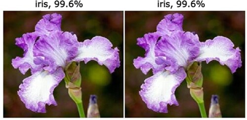 Figure 14. Iris image classification before and after encryption.