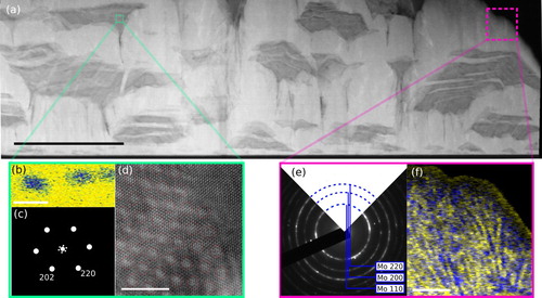 Figure 1. High-angle annular dark-field scanning transmission electron microscopy (HAADF-STEM) images taken along the direction of FCC Cu. The high-level view of the sample in (a) displays the hierarchical structure of the sample throughout the thickness and length of the film. Direction of growth is from bottom to top in the image. Scale bar, 1 micron. At one length scale in (b-d), the single crystal Cu grains contain FCC Mo dispersoids arranged in an FCC superlattice as indicated in the power spectrum (c) taken from (d); indexed down the FCC zone axis. The energy dispersive X-ray spectrum map in (b) shows a concentration of Mo corresponding to the brighter spots in the STEM image. Scale bars, 1 nm (b), 10 nm (d). Another length scale is presented in (e–f) where Cu and Mo are constrained to a coherent BCC Mo-Cu solid solution and exhibit lateral concentration modulations with respect to the film-substrate interface. (e) shows an SADP from the bicontinuous region and only BCC Mo frequencies are present, but Cu–Mo concentration modulations are observed in the EDXS mapping in (f). Scale bar, 50 nm.