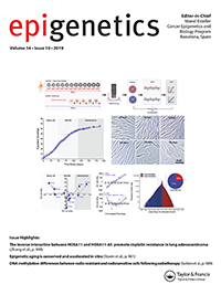 Cover image for Epigenetics, Volume 14, Issue 10, 2019