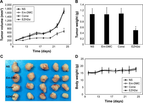 Figure 7 Antiglioma effect of EZH2si-DMC in vivo.Notes: (A) Tumor growth curves; (B) tumor weight; (C) tumor photos of NS, DMC, DMC-Consi and DMC-EZH2si treatment groups; and (D) body weight of different groups. (Mean ± SEM, n=5) (*P<0.01, DMC-EZH2si vs NS, DMC, DMC-Consi (A); *P<0.01, DMC-EZH2 vs NS, DMC, and DMC-Consi (B).