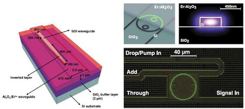 Figure 3. (a) Erbium-doped Al2O3-SOI device showing the inverted tapers to transfer the mode from the SOI to the Al2O3 waveguide. Taken from [Citation48]. (b) Use of erbium-doped Al2O3 to reduce the losses, thereby increasing the Q-factor, of SOI ring resonators and photonic molecules. Taken from [Citation49]