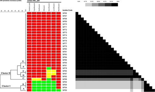 Figure 3 Cluster analysis of quinolone susceptibility profile based on Sensitive Intermediate-Resistant (SIR) interpretation.