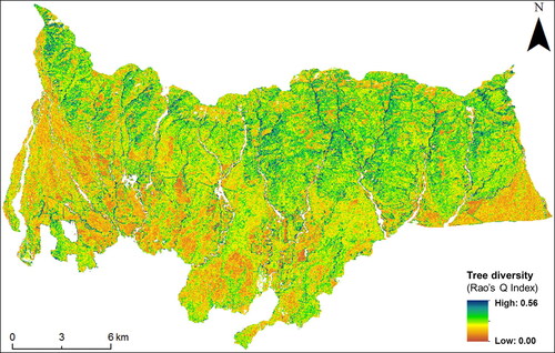 Figure 10. Composite Rao’s Q index-based tree diversity map at 0.1 ha scale derived from multi-date NDVI.