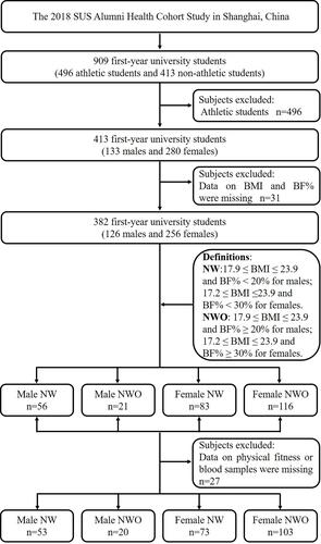 Figure 1 Flowchart of our study.