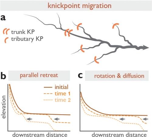 Figure 2. Knickpoint migration and evolution. (A) Example of knickpoint migration in map view, where rate of upstream knickpoint propagation is correlated to A, the upstream drainage area (where area ≈ discharge). Long profile views of knickpoint migration and evolution over time, following classical stream-power-law predictions: (B) maintenance of knickpoint form by parallel retreat and (C) knickpoint retreat with rotation and diffusion of knickpoint form (Howard et al., Citation1994; Whipple & Tucker, Citation1999). Modified from Bishop et al. (Citation2005); Castillo et al. (Citation2013); Howard et al. (Citation1994).