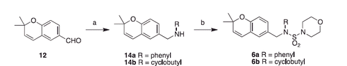 Scheme 3. Synthesis of Class D compounds. Reagents and conditions: (a) aniline, InCl3, NaBH4, ACN, 20 min or cyclobutylamine, NaBH4, MeOH, overnight; (b) 4-morpholinosulfonyl chloride, pyridine, DCE, reflux 2 days.