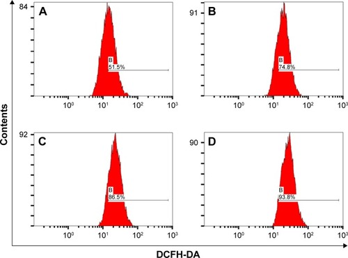 Figure 6 Analysis of ROS generation by A375 cancer cells treated with different concentrations of Re-CDs.Notes: (A) 0 mg/mL; (B) 0.2 mg/mL; (C) 0.5 mg/mL; and (D) 1.0 mg/mL. ROS generation in cancer cells A375 was enhanced on treatment with increasing concentration of Re-CDs.Abbreviations: A375, malignant melanoma cell line; DCFH-DA, 2′,7′-dichlorodihydrofluorescein diacetate; Re-CDs, Re-based carbon dots.