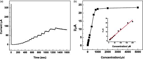 Figure 8. (a) Chronoamperometric responses of Lac-α-Fe2O3NCs–CPE on successive addition of different concentrations and volumes of catechol solutions into pH 7, 0.2 M of PBS solution at an applied potential of 0.3 V; (b) Calibration curve with nonlinear fitting for Lac-α-Fe2O3NCs–CPE response. Inset: Calibration curve with linear fitting.