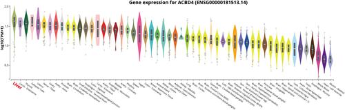 Figure 1 Violin diagram of ACBD4 gene expression level distribution in normal human organ tissues from GTEx database.