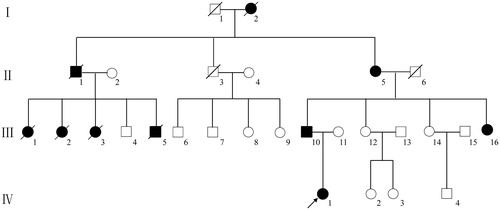 Figure 1. Pedigree of the ADTKD-UMOD family.