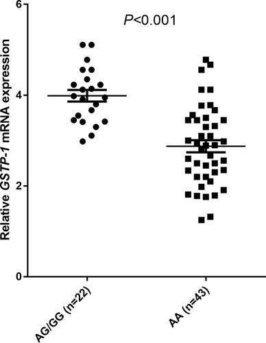 Figure 4 Relative expression levels of GSTP-1 mRNA in 65 PBMC specimens according to genotype status GSTP-1 313A>G.