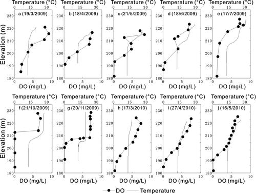 Figure 4 Profiles of temperature and DO in the lacustrine zone (S8).