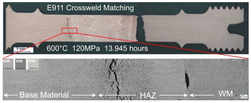 Figure 18. Example of type IV failure location in a cross-weld creep specimen from E911 after 13 945 h at 600°C and 120 MPaCitation82