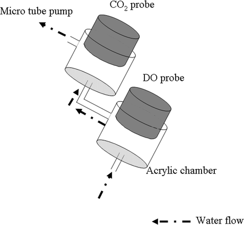 Figure 2. Schematic diagram of the tube-pump sampling method. CO2, carbon dioxide; DO, dissolved oxygen.