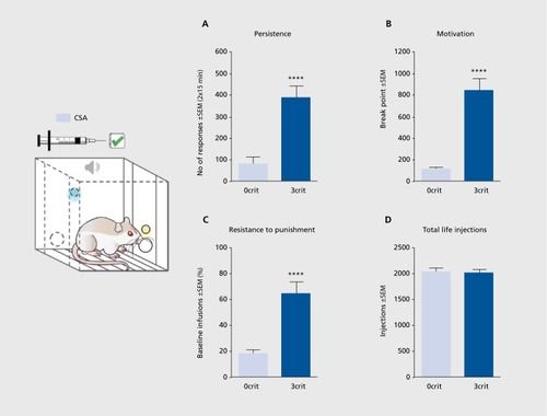 Figure 2 Behavioral characterization of 0crit and 3crit rats in the multisymptomatic model of cocaine addiction. 3crit rats show higher responding than 0crit rats in each criteria. (A) Persistence of cocaine seeking expressed by the sum of active nose pokes during no-drug periods in a session. (B) Motivation for cocaine intake expressed as the break point during a progressive ratio session. (C) Resistance to punishment when cocaine seeking and cocaine taking are paired with a footshock. (D) 0crit and 3crit rats do not differ in number of selfadministered cocaine injections. Data are shown as mean ± SEM; ****P<0.0001 with respect to 0crit. CSA, cocaine self-administration; SEM standard error of the mean.