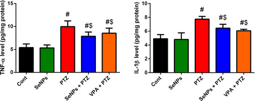 Figure 5 Effect of selenium nanoparticles (SeNPs) on inflammatory markers TNF-α and IL-1β in the hippocampal tissue following pentylenetetrazole (PTZ) injection. Results are figured as mean ± SD (n = 10); significant change was recorded following analysis with Duncan’s test as a post hoc test (P < 0.05). #Represents a significant change against the control mice; $Represents a significant change against the PTZ-injected mice.
