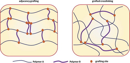 Figure 15. Schematic illustrations of an AB-type-crosslinked polymer
