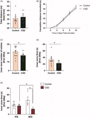 Figure 4. Chronic social defeat stress exposure increases anxiety-like behavior in female C57Bl/6n mice and this effect is most prominent in the metestrus/diestrus phase of the cycle. Chronic social defeat stress (CSDS) exposure does not affect (A) total distance travelled after 10 min in the Open Field (OF), nor could (B) any changes be observed during the course of the test between CSDS mice and controls. However, exposure to CSDS increases anxiety-like behavior in female C57Bl/6n mice as demonstrated by (C) a decreased number of entries into the inner zone of the OF and (D) a decreased amount of time spent in the inner zone of the OF. The effects on time spent in the inner zone of the OF (E) were most prominent in mice that were in the metestrus/diestrus cycle phase. CSD: chronic social defeat stress; P/E: proestrus/diestrus; M/D: metestrus/diestrus; data represent mean ± SEM. *p < 0.05.
