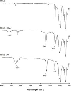 Figure 2. ATR–FTIR spectra of the unmodified PDMS and of PDMS grafted with HEMA and MAA.