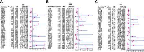 Figure 5 Prognostic analysis of GIMAP7 via multivariable Cox regression. (A) The results of GIMAP7 for overall survival in pan-cancer. (B) The results of GIMAP7 for disease-specific survival in pan-cancer. (C) The results of GIMAP7 for the progression-free interval in pan-cancer.