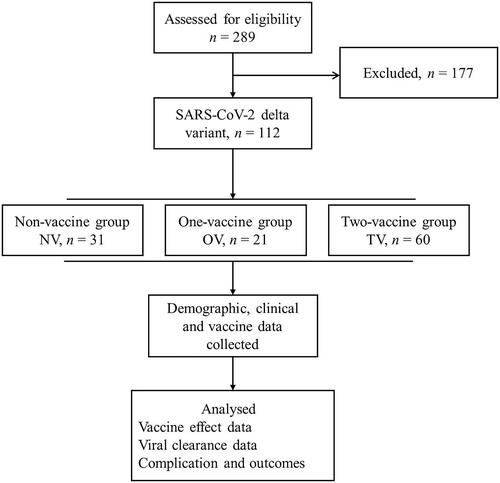 Figure 1. The flowchart of the study. NV, non-vaccination group; OV, one-dose vaccination; TV, two-dose vaccination.
