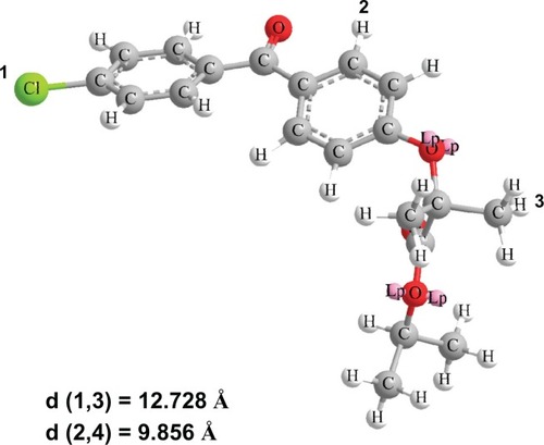 Figure 5 Three-dimensional fenofibrate molecule with corresponding interatomic distances.