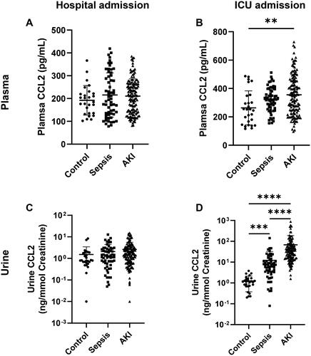 Figure 1. Plasma and urine CCL2 levels between AKI and non-AKI patients at hospital and ICU admission. **p < 0.01; ***p < 0.001; ****p < 0.0001.